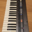 Roland E-70 y Casiotone