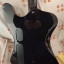 ESP LTD Phoenix 1004