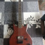 Guitarra Ibanez AX110XL
