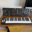 Vendo Behringer Poly D