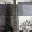 Guitarra Ibanez AX110XL