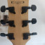Guitarra Ibanez AX110XL