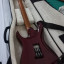 Ibanez AZ Premium 224bcg