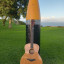 TAYLOR GS5e Acústica Alta Gama RESERVADA