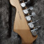 Fender Stratocaster Professional con Noiseless HSS