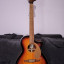 Fender serie California Newporter Player Walnut Sunburst