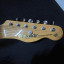 ESP/ EDWARDS E-TE 98