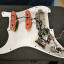 Golpeador completo de Fender Stratocaster Ultra HSS
