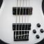 Bajo Spector Performer 5 String Bass Guitar - Solid White edition