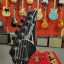 Ibanez Steve Vai Flame