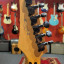 Ibanez Steve Vai Flame