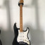 Fender Stratocaster Plus 1989 pastillas Standard
