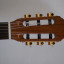 Vendo: Gibson Chet Atkins (Nylon Strings)