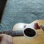 Guitarra Acústica Taylor 114