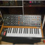 Behringer poly d