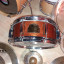 Sonor selct force canadian maple shell