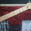 FENDER Custom Shop (CS) DELUXE. De tienda !!!