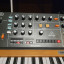 Behringer poly d