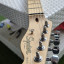 Squier by Fender