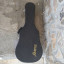 Alvarez RD12CE con estuche original