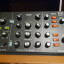 Behringer poly d
