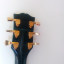 fernandes les paul custom "black beauty" japan