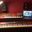 NORD STAGE 2EX 88