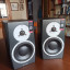 Monitores de estudio Dynaudio BM5 Mk3 + stands de mesa + stands de suelo