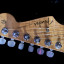 Fender Stratocaster Custom Shop American Custom