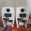 Pareja de altavoces Genelec 8010AW