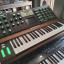 sintetizador moog voyager SOLO 48 HORAS
