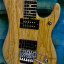 Washburn n4 swamp ash