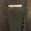 Fishman acoustic powerblend
