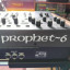 Sequential prophet 6