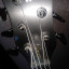 Bajo Warwick Streamer lx Special edition 2008 Fletess