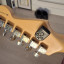 Stratocaster Standard Usa Reverse Headstock.