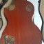 Gibson Les Paul BFG Gary Moore (Signature)