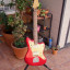 Fender Squier JAZZMASTER DELUXE (Mejorada)