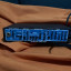 Rockman sustainor