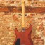 Wayne Guitars "Rock Legend" (2004/05)