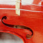 VIOLIN SIELAM 3/4