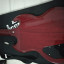 Cambio Gibson SG Special 2011