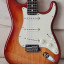 Fender Stratocaster American Standard