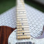 Guitarra Eléctrica