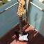 Fender American Special / Dave Murray Pickguard / Vendo o Cambio