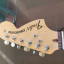 Fender American Special / Dave Murray Pickguard / Vendo o Cambio