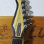 Cambio firebird de luthier