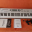 Korg Triton Le 61 + Tarjeta Expansion EXB-SMPL