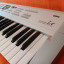 Korg Triton Le 61 + Tarjeta Expansion EXB-SMPL