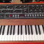 Sequential Prophet-5